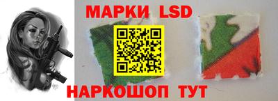 индика Кингисепп
