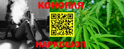 индика Кингисепп