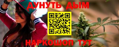 индика Кингисепп