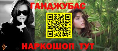 индика Кингисепп