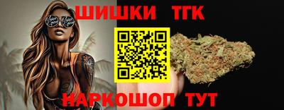 индика Кингисепп