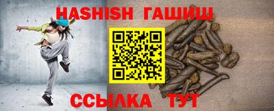 индика Кингисепп