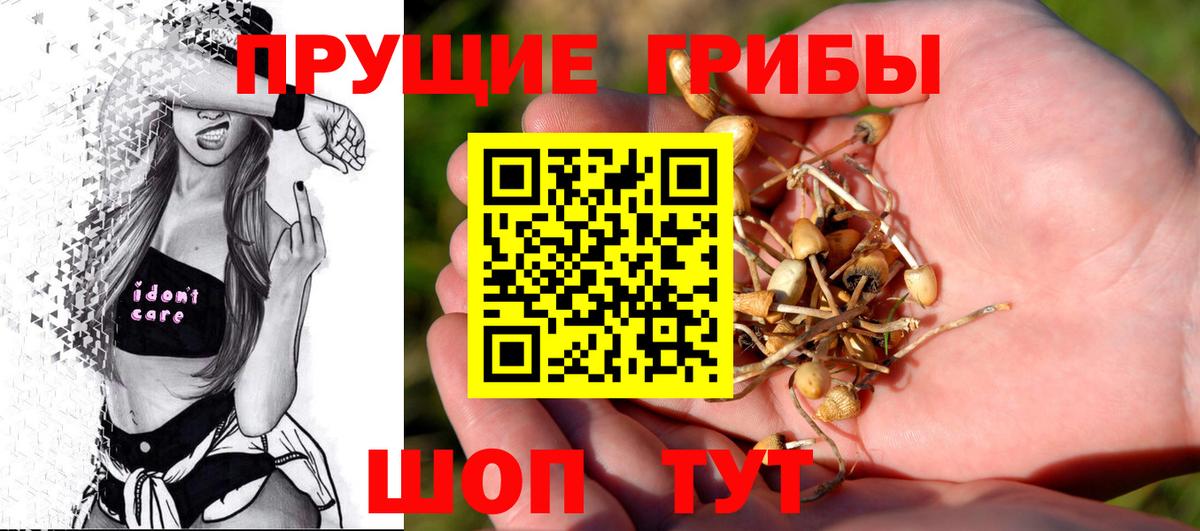 Псилоцибиновые грибы MAGIC MUSHROOMS Снежинск